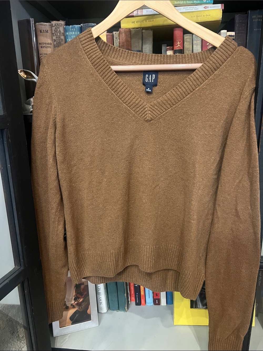 GAP Women's V-Neck Sweater in Camel Brown